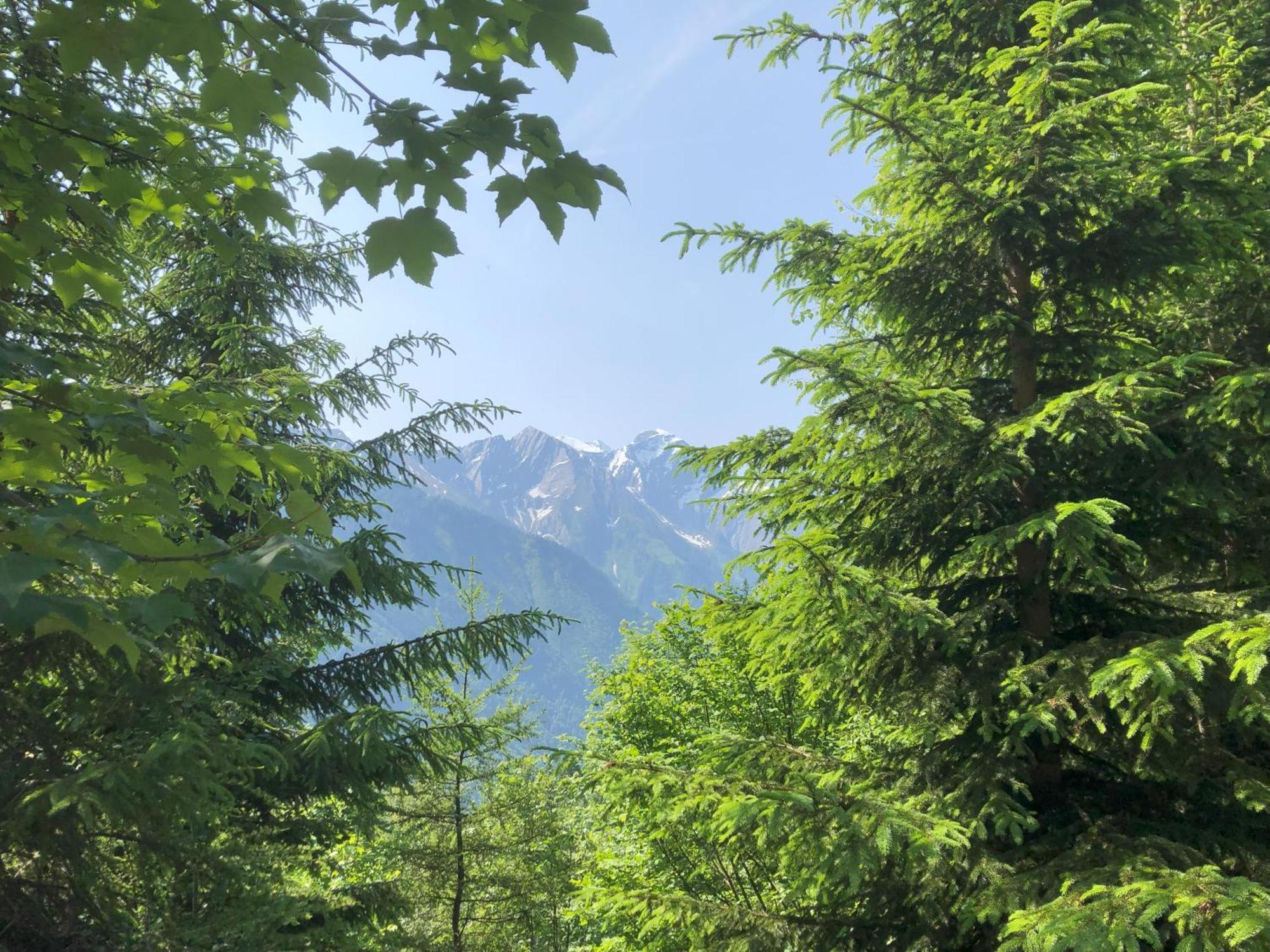 Haus Voglreiter * Kaprun